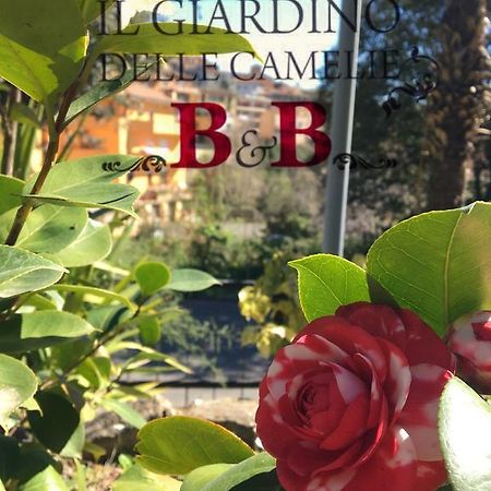 B&B Il Giardino Delle Camelie Palestrina Exterior foto