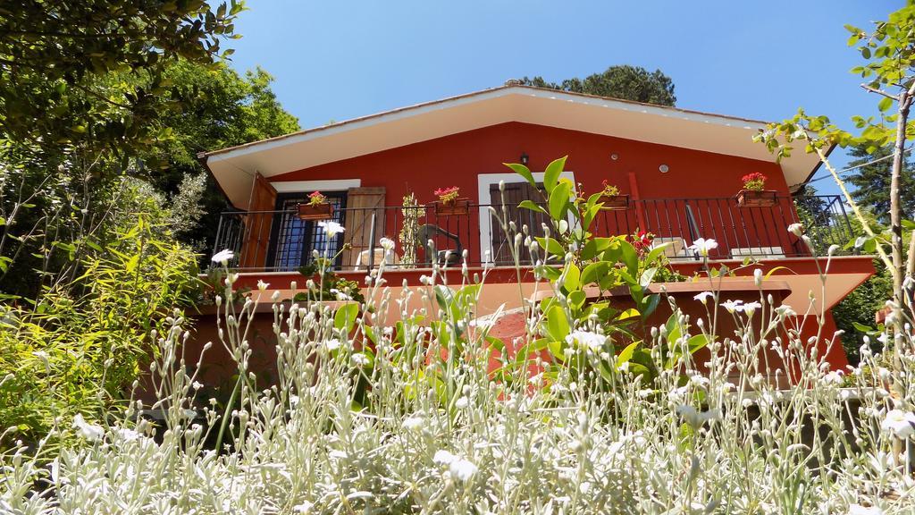 B&B Il Giardino Delle Camelie Palestrina Exterior foto